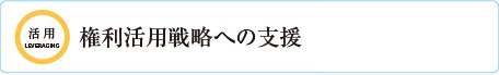 権利活用戦略への支援・調査・コンサルティング 知的財産の利用・活用等に関する業務務